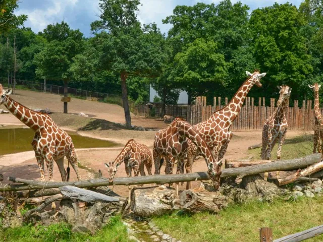ZOO Brno